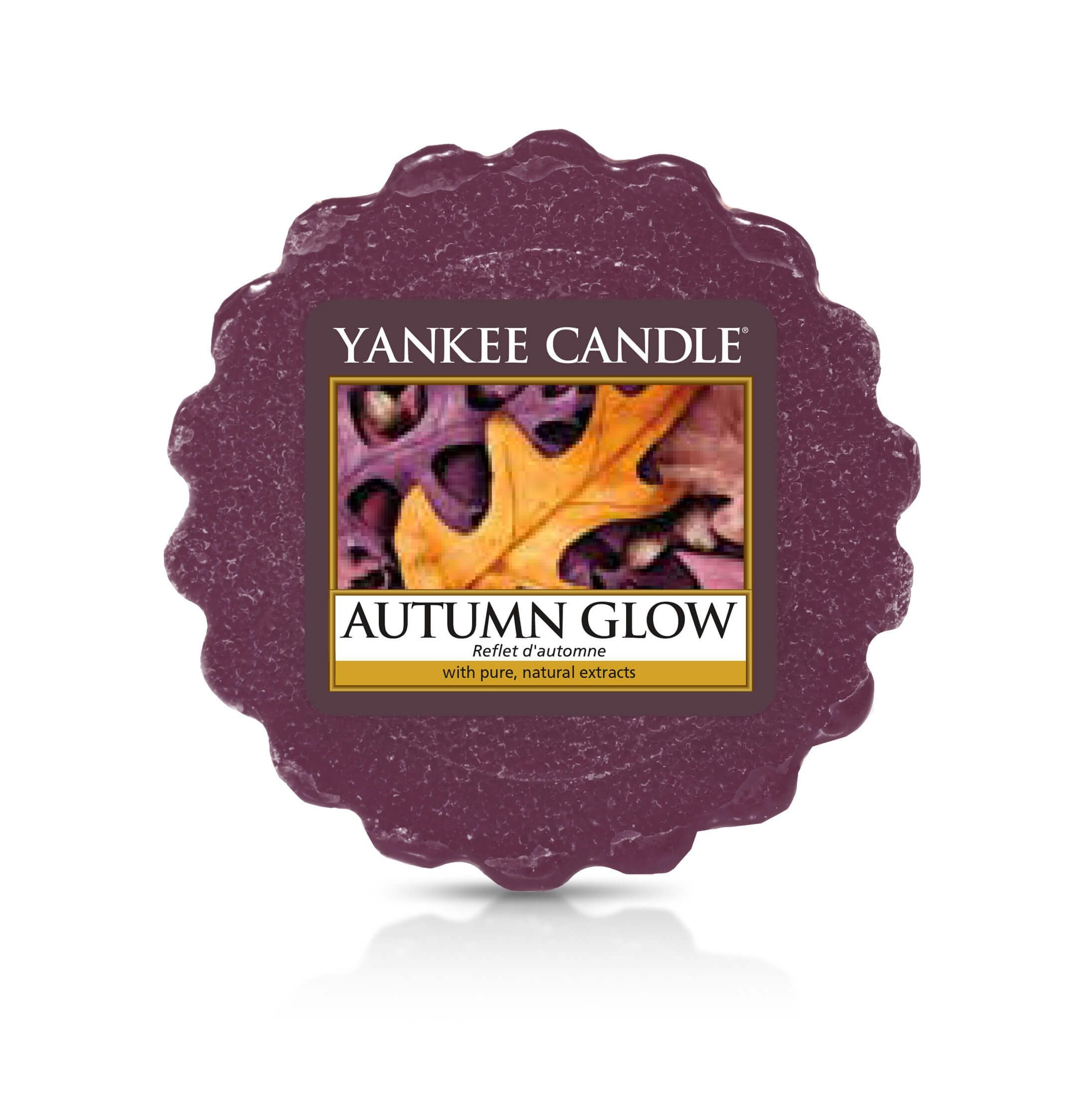 Reflet d'automne - Tartelette Yankee Candle